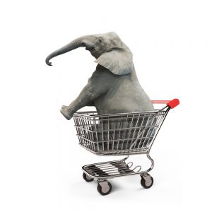 elephant-in-cart